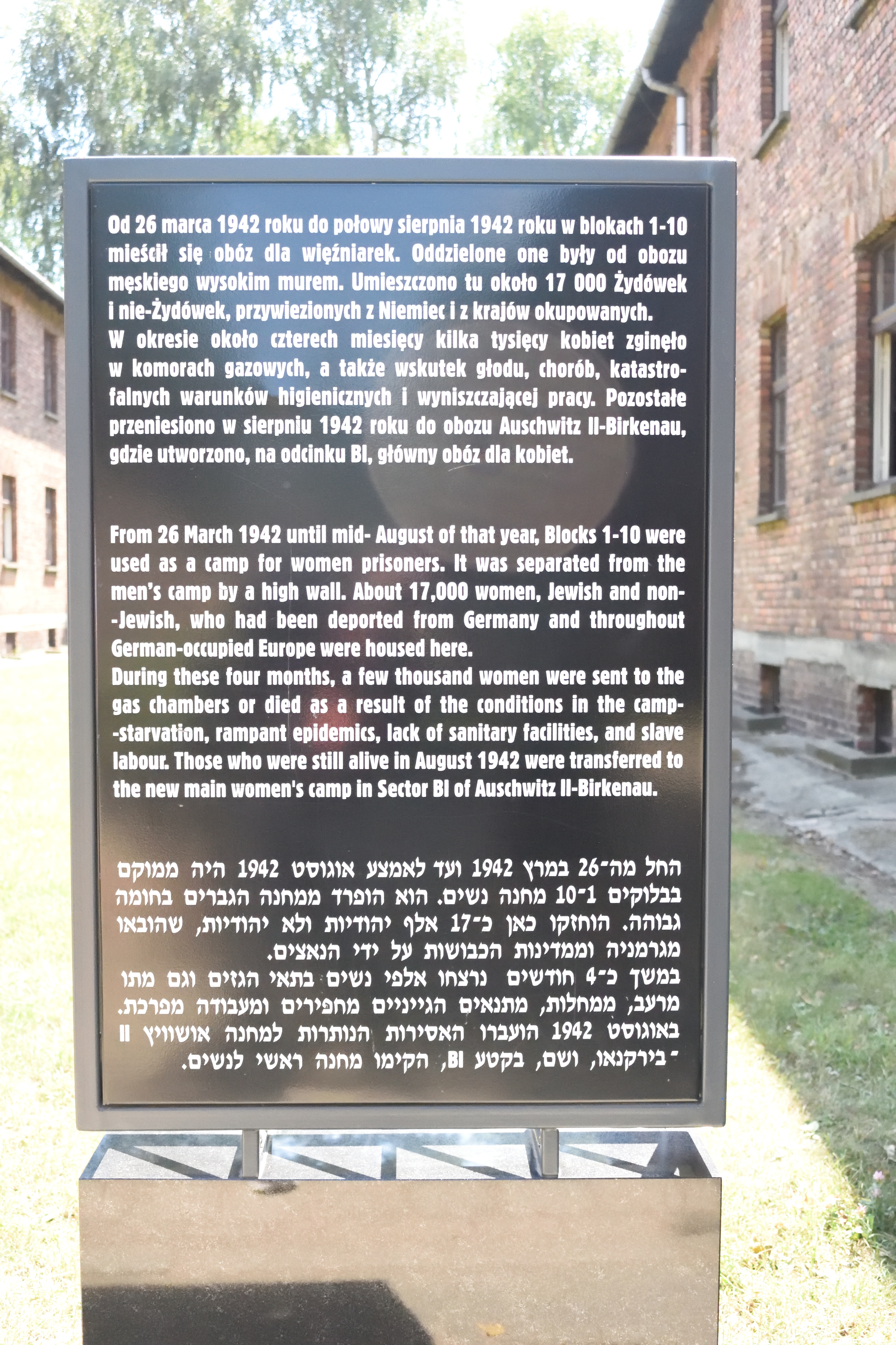 NK1_6785.jpg