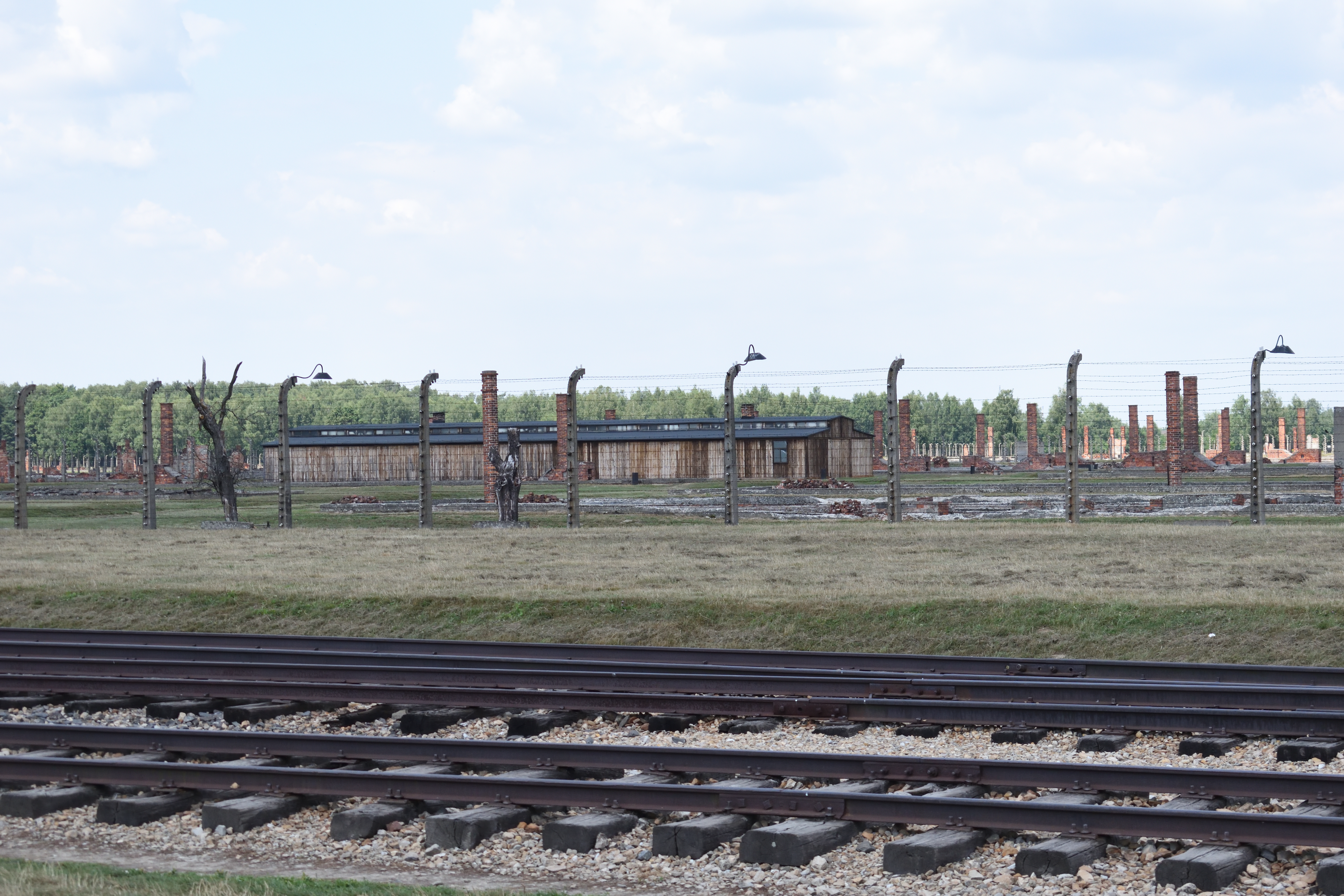 NK1_7107.jpg