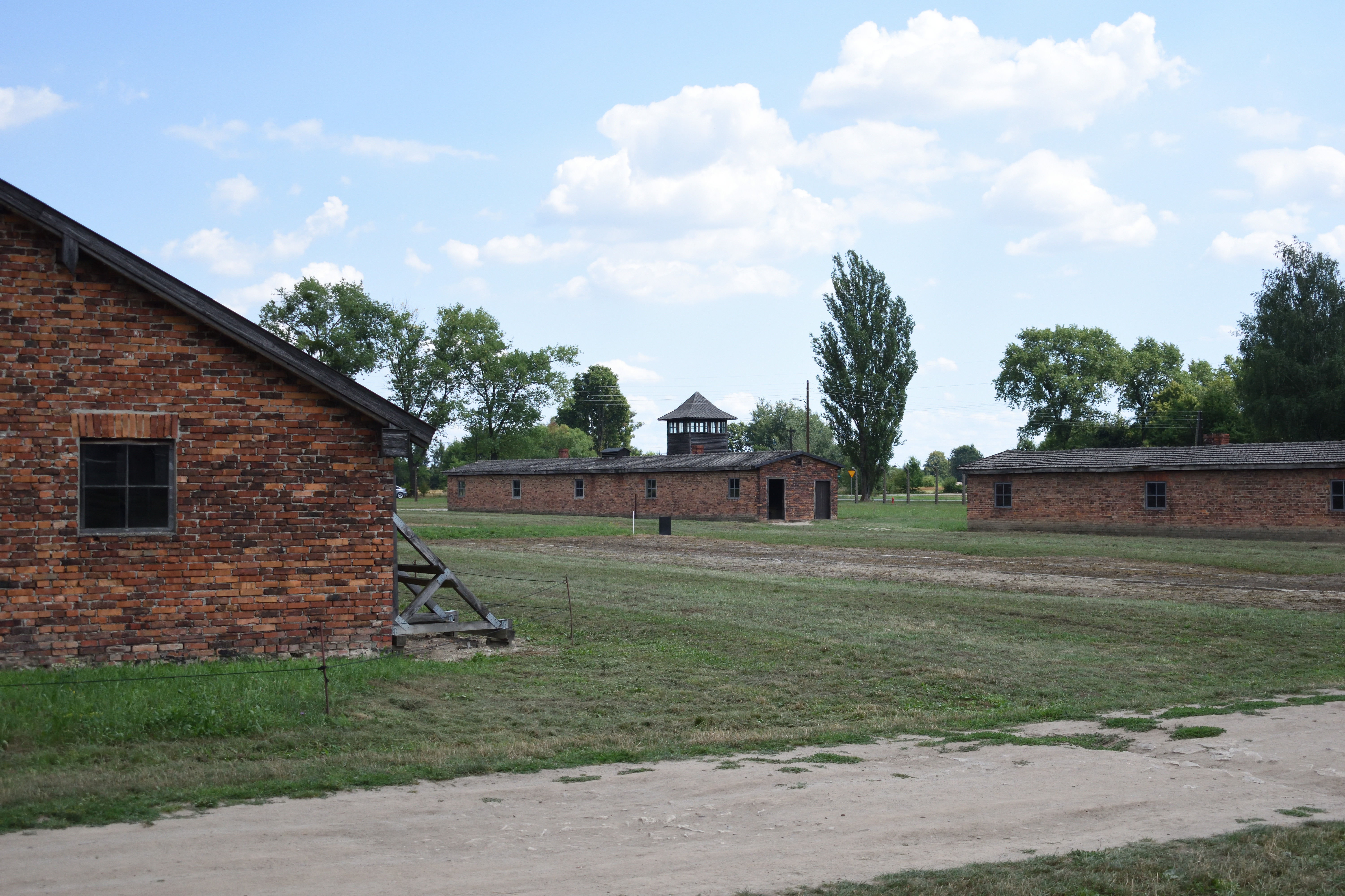 NK1_7233.jpg