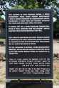 NK1_7038.jpg