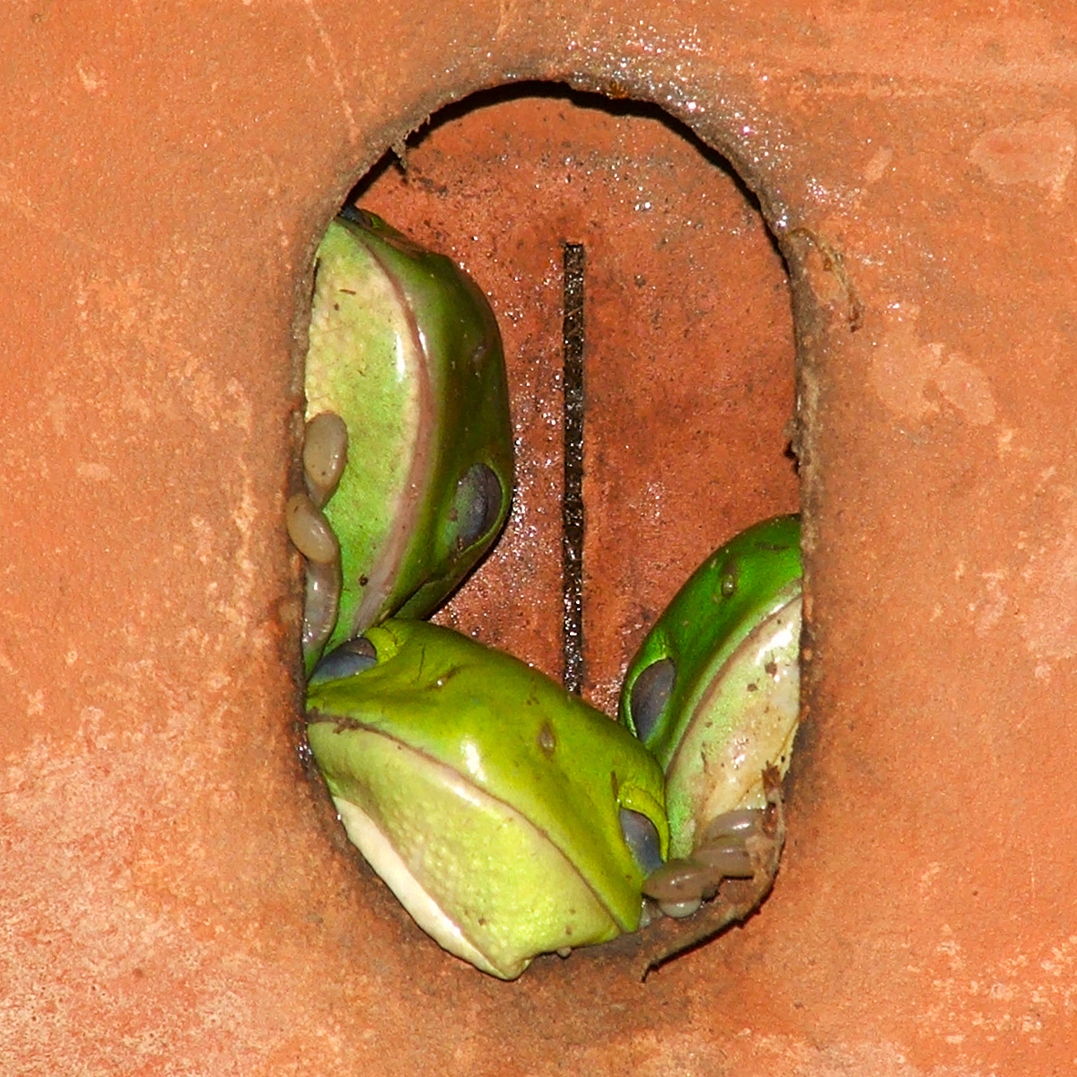 DSCF2950.jpg