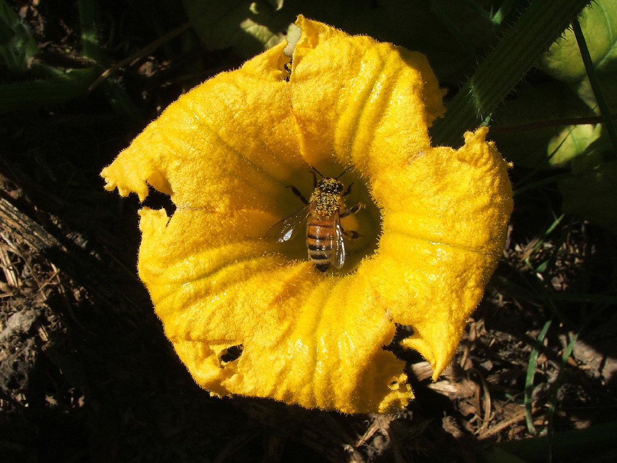 DSCF3275.jpg