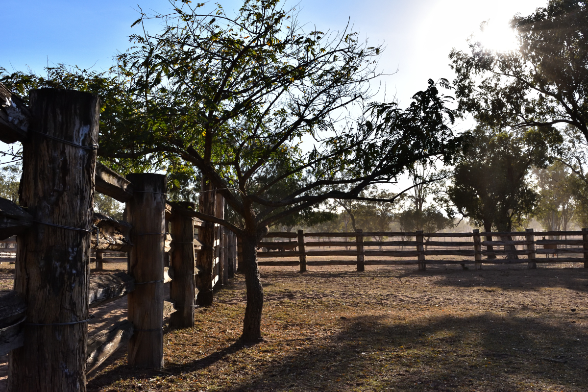 DSC_0754.jpg