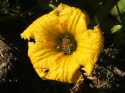 DSCF3275.jpg