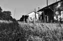 DSC_1944001bw.jpg